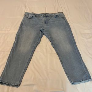 American Eagle Jegging size 22 short